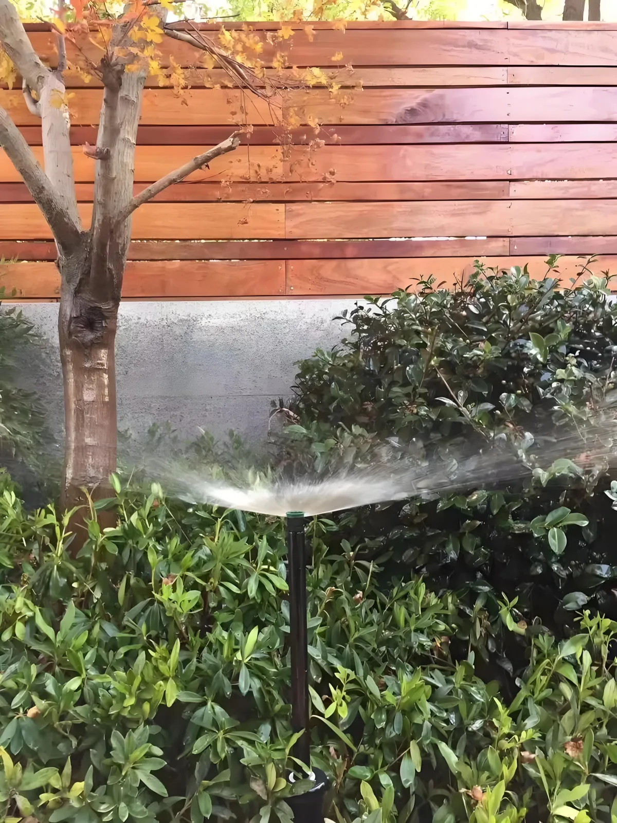Shrub border sprinkler running beside a fence and small trees.