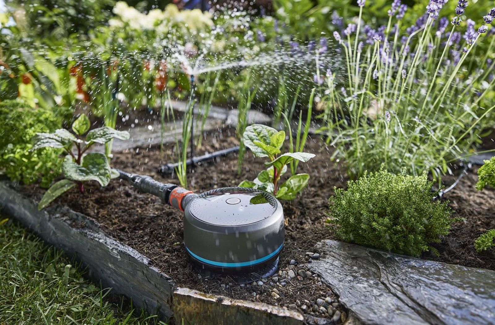 Garden monitoring device standing in soil beside irrigation hoses and planting rows.